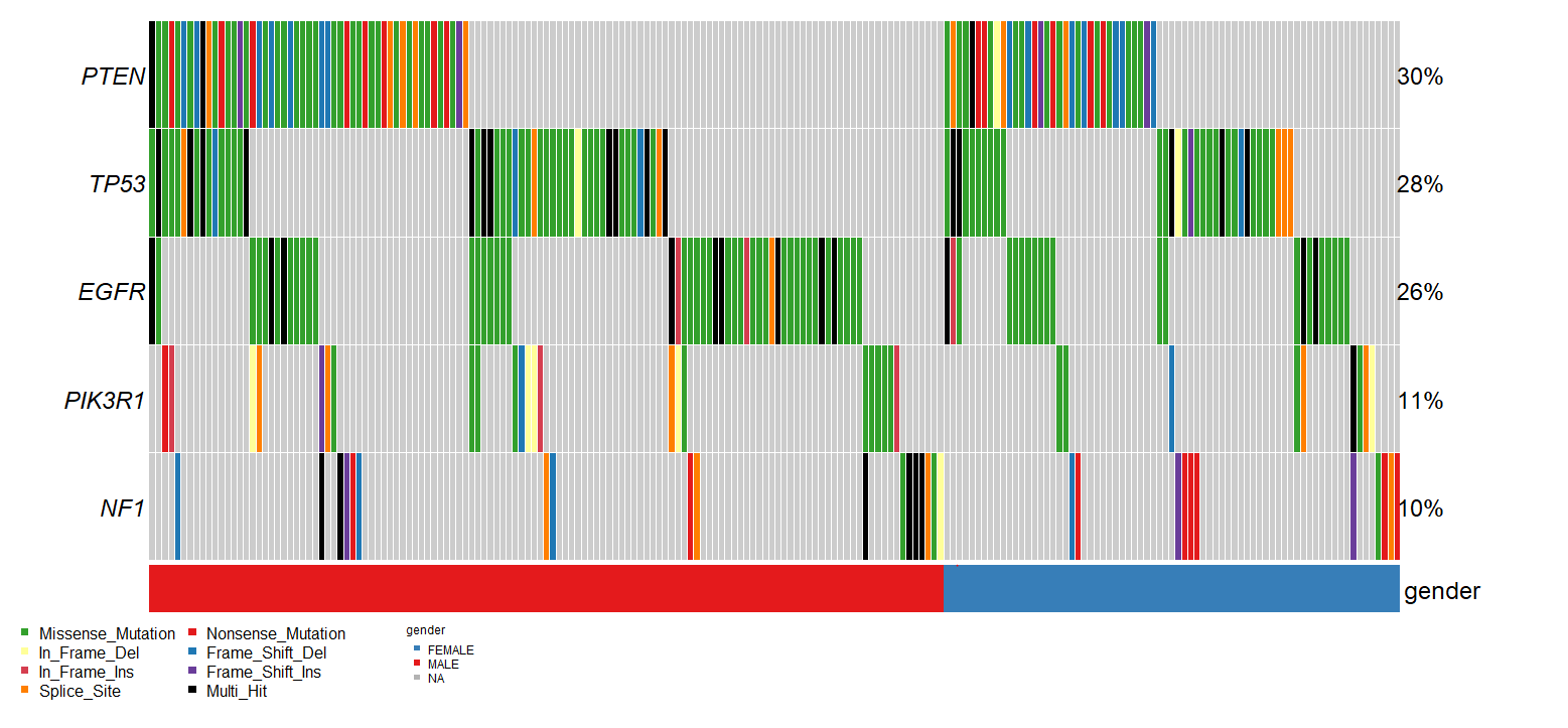 ../_images/single_cohort_oncoplot_clinical_annotations.PNG