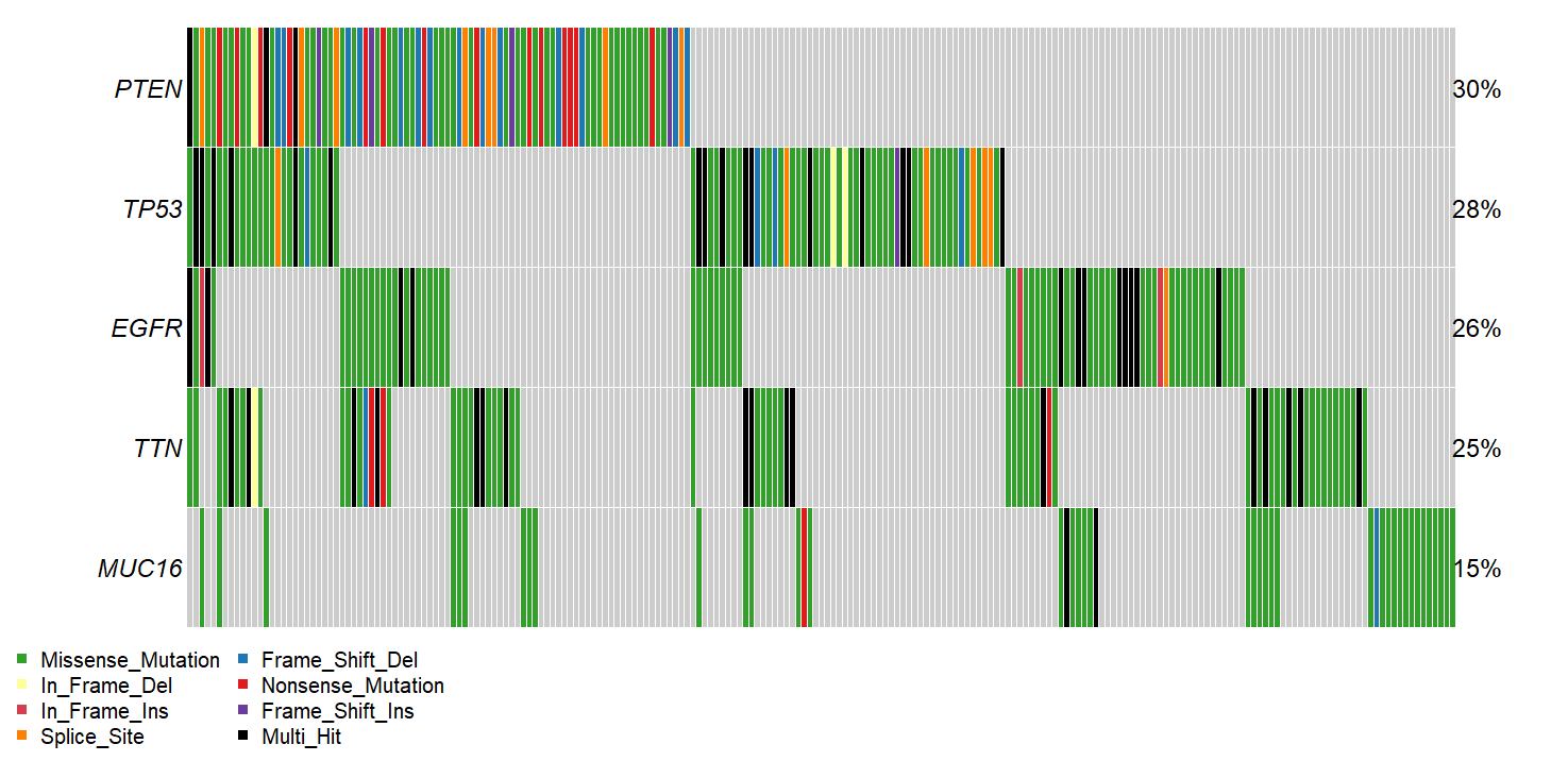 ../_images/single_cohort_oncoplot_gbm_top5.PNG