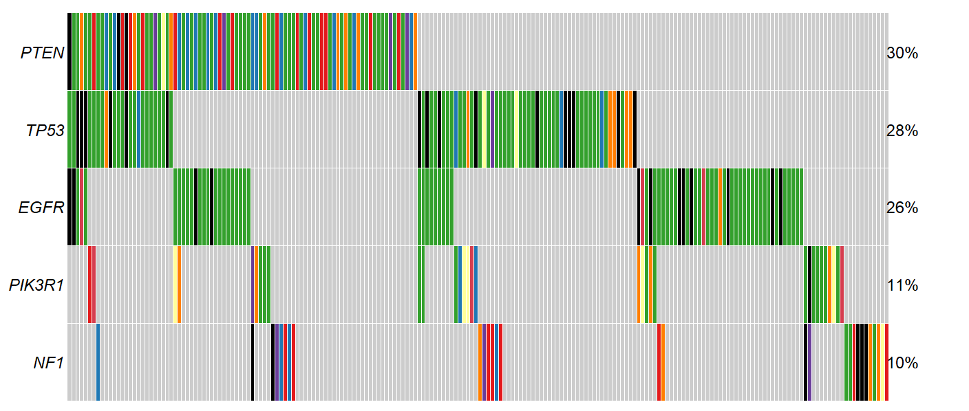 ../_images/single_cohort_oncoplot_gbm_top5_dubious_genes_removed.PNG