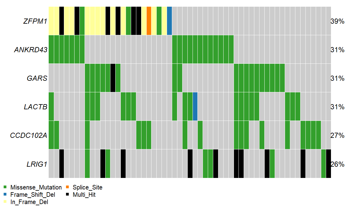 ../_images/single_cohort_oncoplot_zoomed.PNG